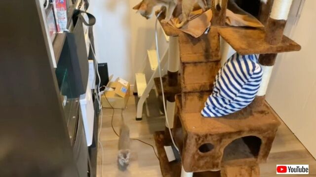 20230110_085507 (5)_batch