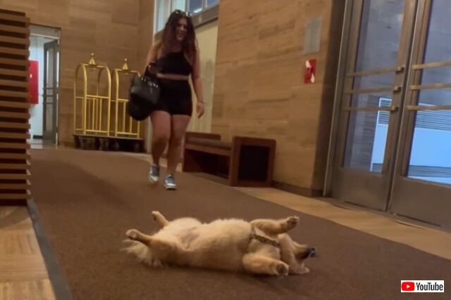 20220625_003009 (5)_batch