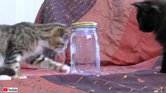 20230416_115456_batch