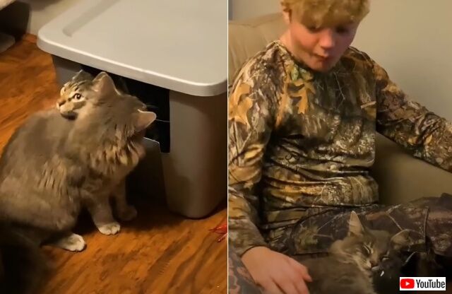 catngoat9_640