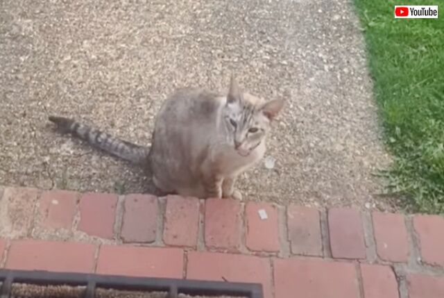 20220918_002248 (3)_batch