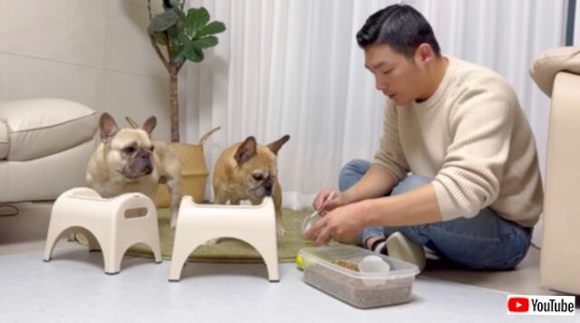 20240115_194353_batch