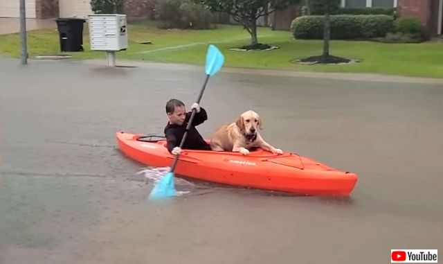 bestpets201910_1_1_640