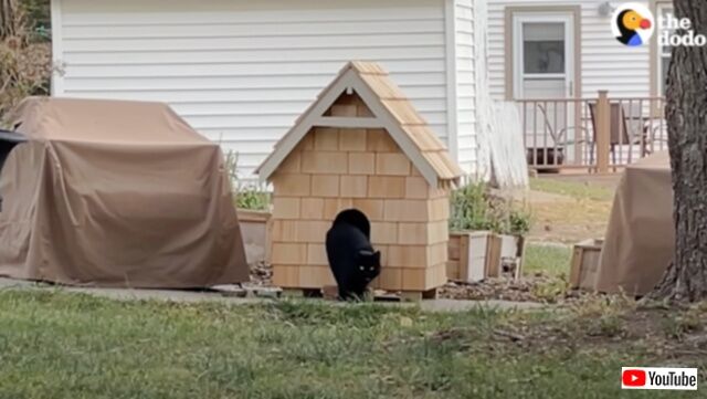 20240124_195720 (6)_batch