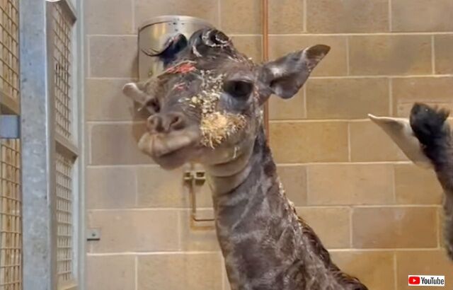 20230130_114409 (2)_batch