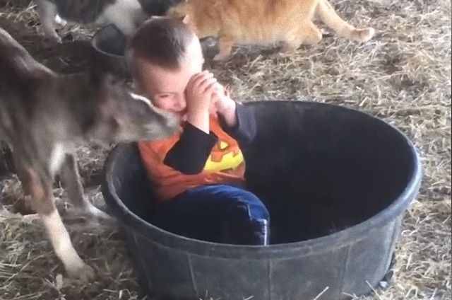 funnyanimalsnkids3_e