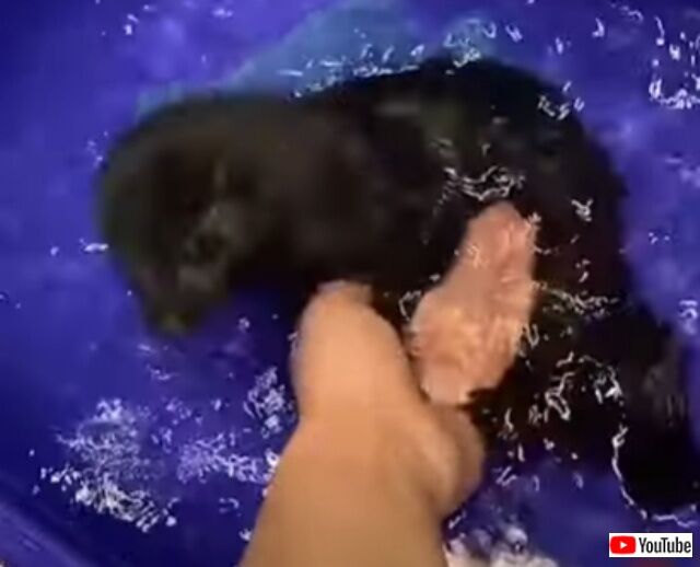 20220427_220118 (7)_batch