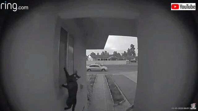 doorbell1_640