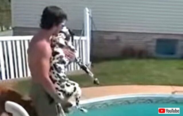 howtoswim3_640