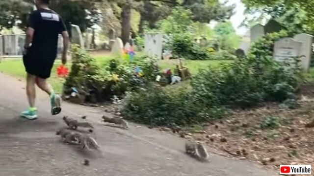 20220529_030826 (4)_batch