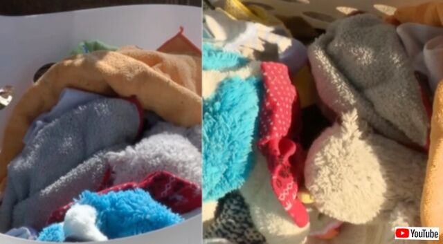 20230916_180237_batch