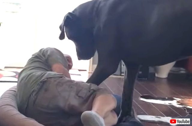 grumpydane0_640
