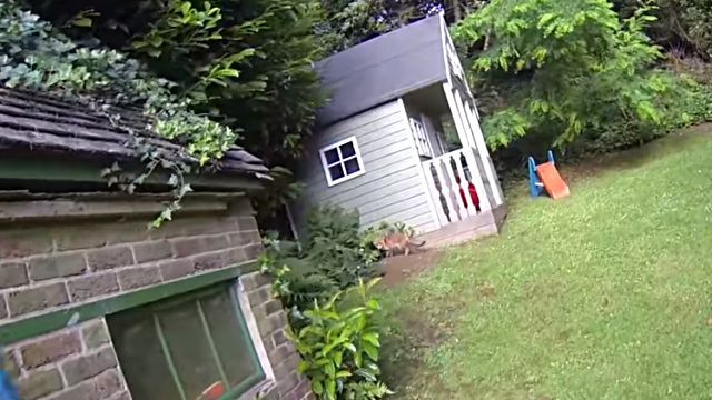 foxrescue7