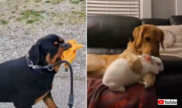 20230525_114615 (3)_batch