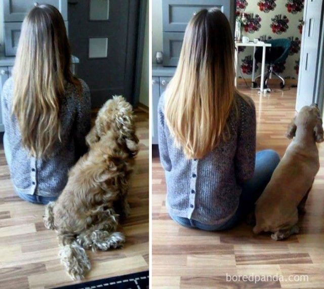 beforeafter15_e