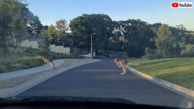 20220402_002950 (7)_batch