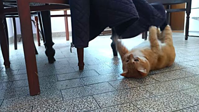 metalcat3