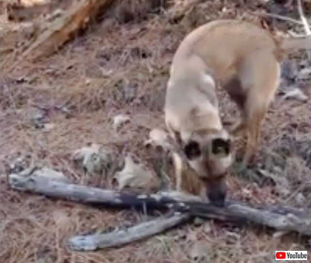 20230110_075109 (5)_batch