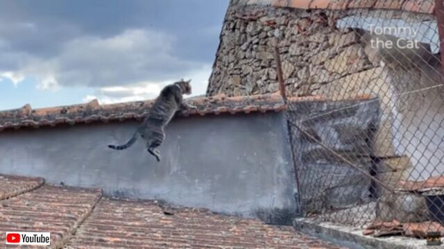 20230606_073801 (4)_batch