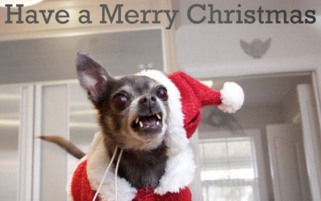 christmas0_e