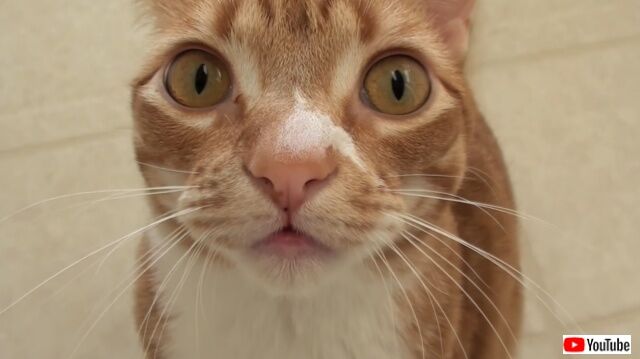 marm2_640
