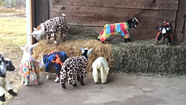 pajamaparty2