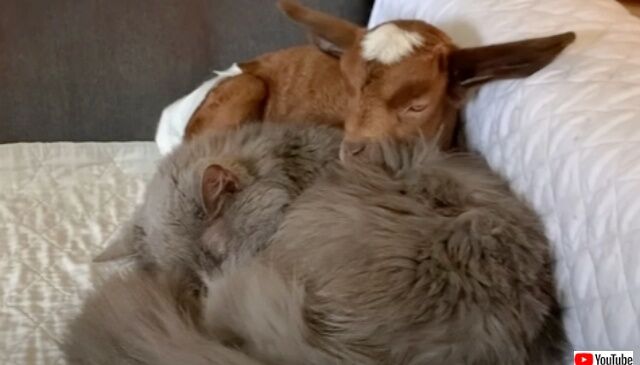 20220830_203018 (3)_batch