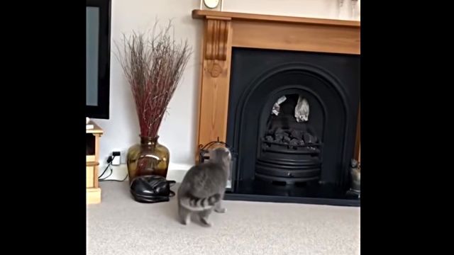 cantclimb1