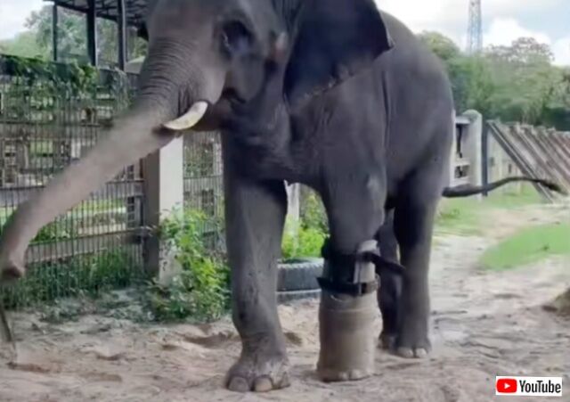 20231130_142556 (8)_batch