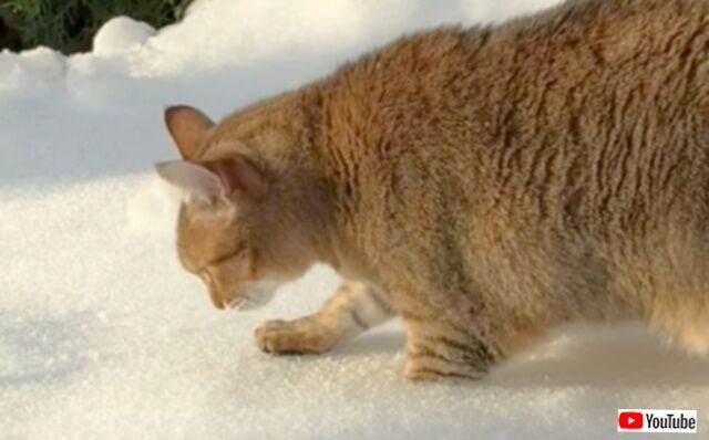 20231216_001256 (6)_batch