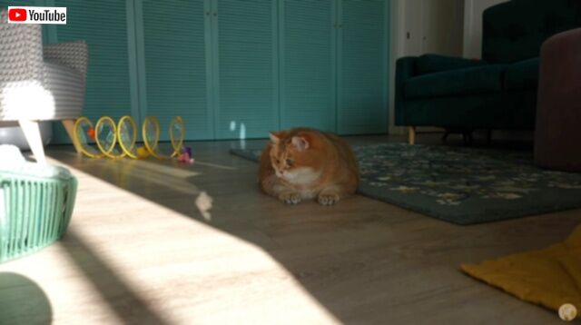 20230910_180233 (5)_batch