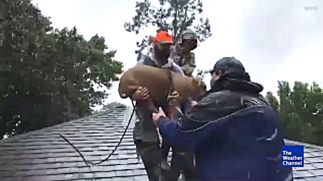 cajunnavy0