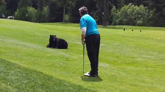 dropped65