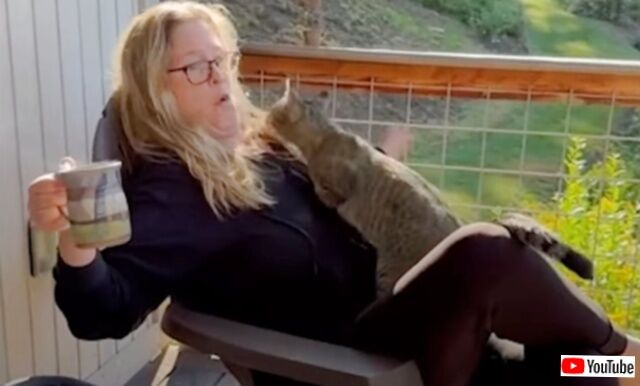 20231018_191024_batch