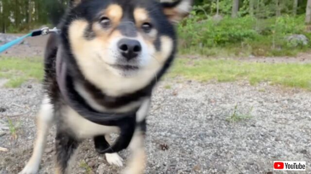 20230903_005256 (6)_batch