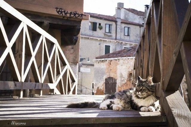 ponte-storto-venice_e