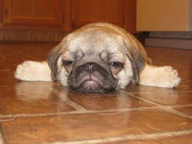 ruff_day-10_e