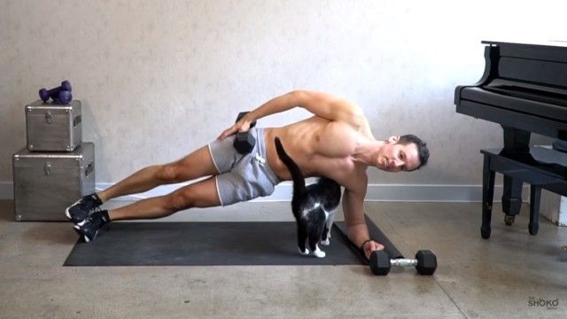 catsnexercise3_e