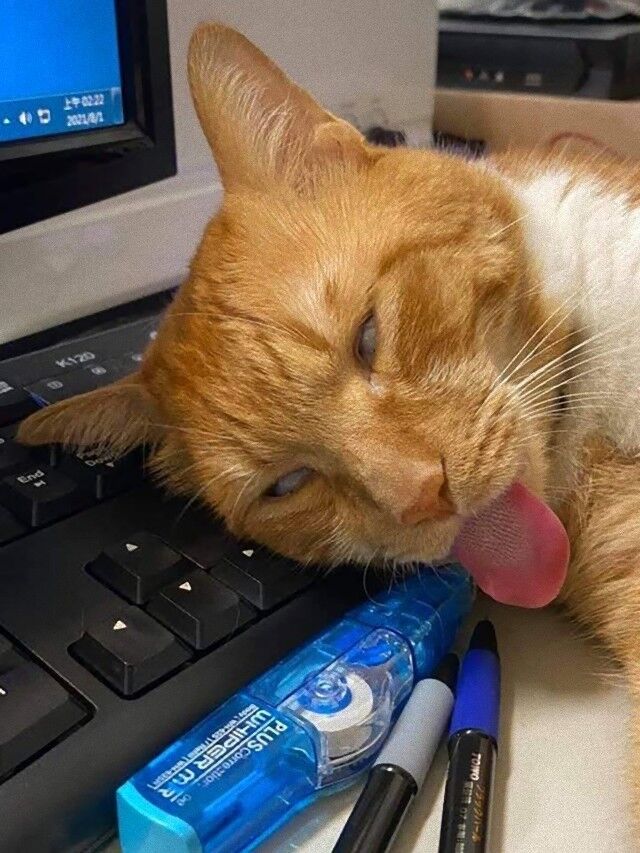 6eprrfrbuye71_e