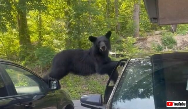 20220616_113234 (2)_batch