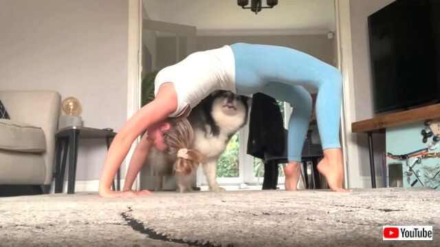 exercisingwithdog1_640
