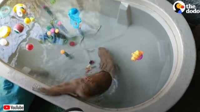 20220602_194226 (2)_batch