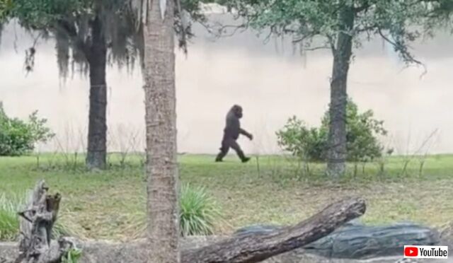 20230523_113530 (2)_batch