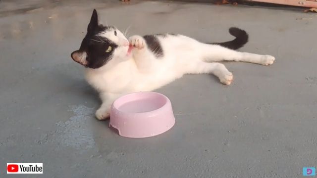 drinkingwater0_batch
