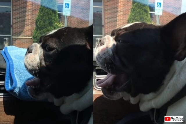 20220811_050710_batch