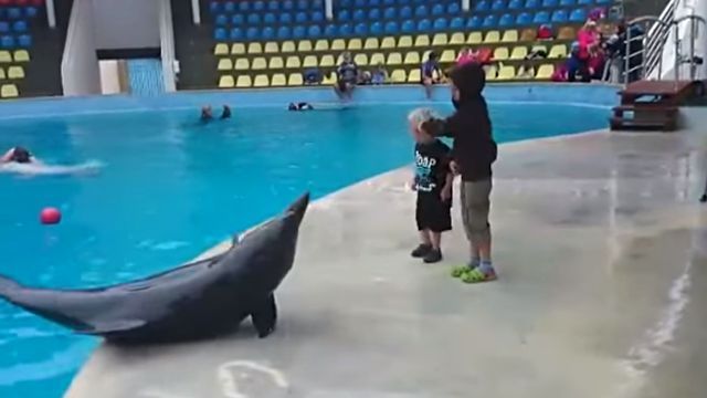 dolphinwithkid3