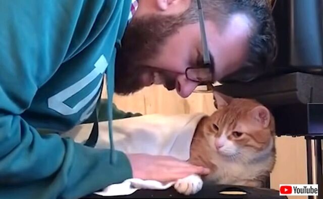 loveofcat3_640
