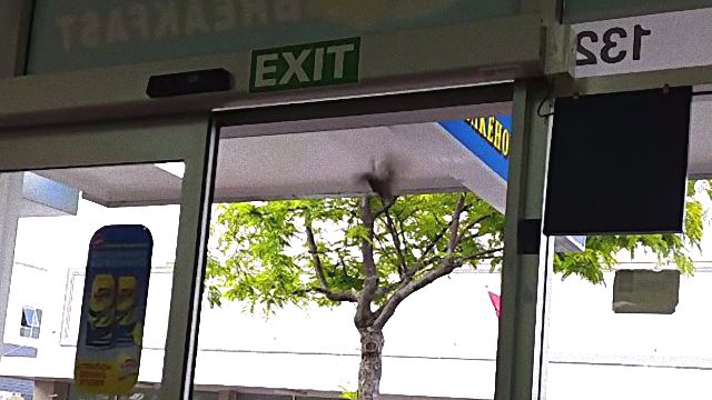 smartbird4_e