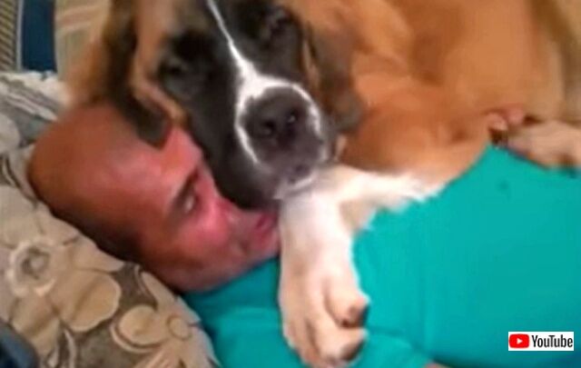 bestpets20211205_6_640