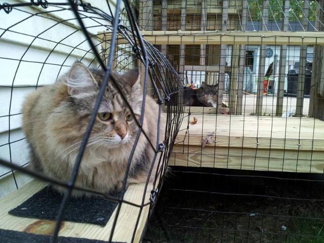 net]